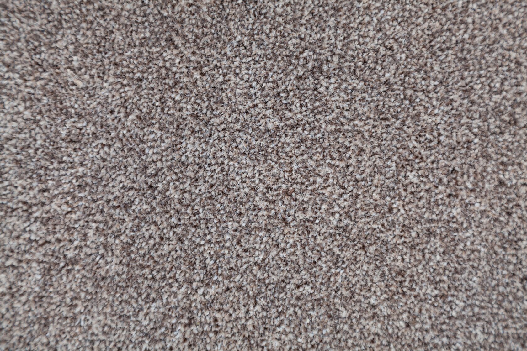 Ковровое покрытие "Bonkeel" Zodiak 39 (ширина 3м) — купить в Туле