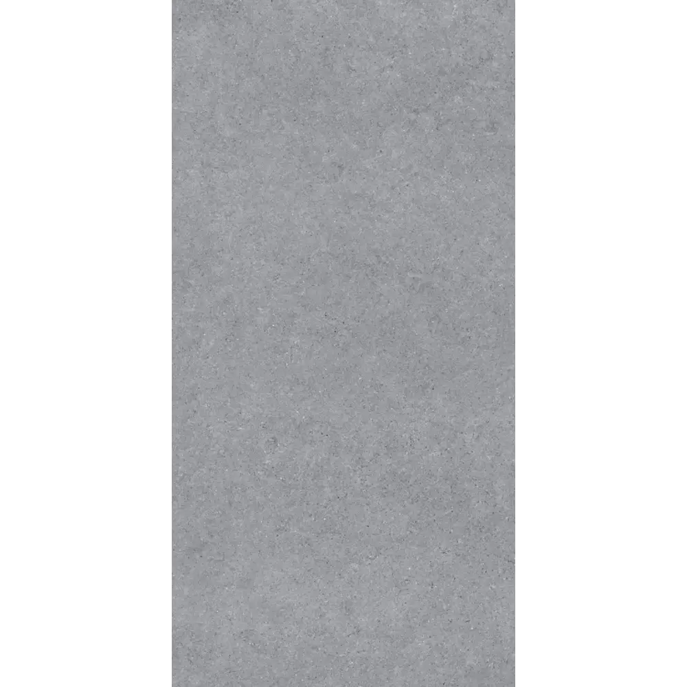 Керамогранит "Sonex" Forever Gris Matt 60x120x0.82 матовый цвет серый камень — купить в Туле