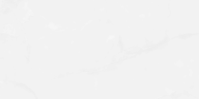 Керамогранит "Wan Sheng" Glazed (1200*600 мм) Серый D12617 — купить в Туле