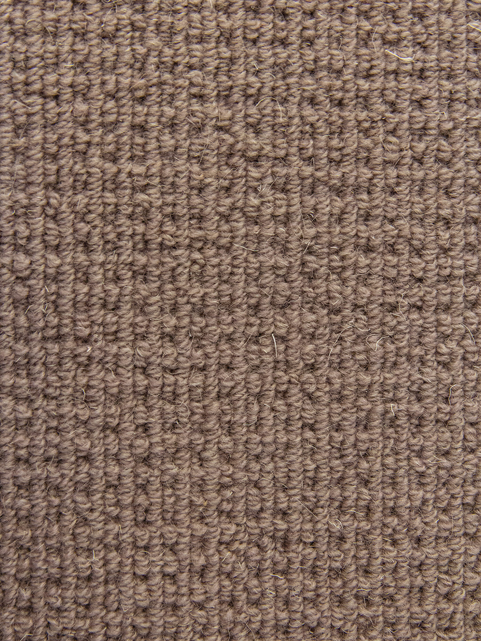 Ковровое покрытие "Bonkeel" Welfare Brown (ширина 4м) — купить в Туле