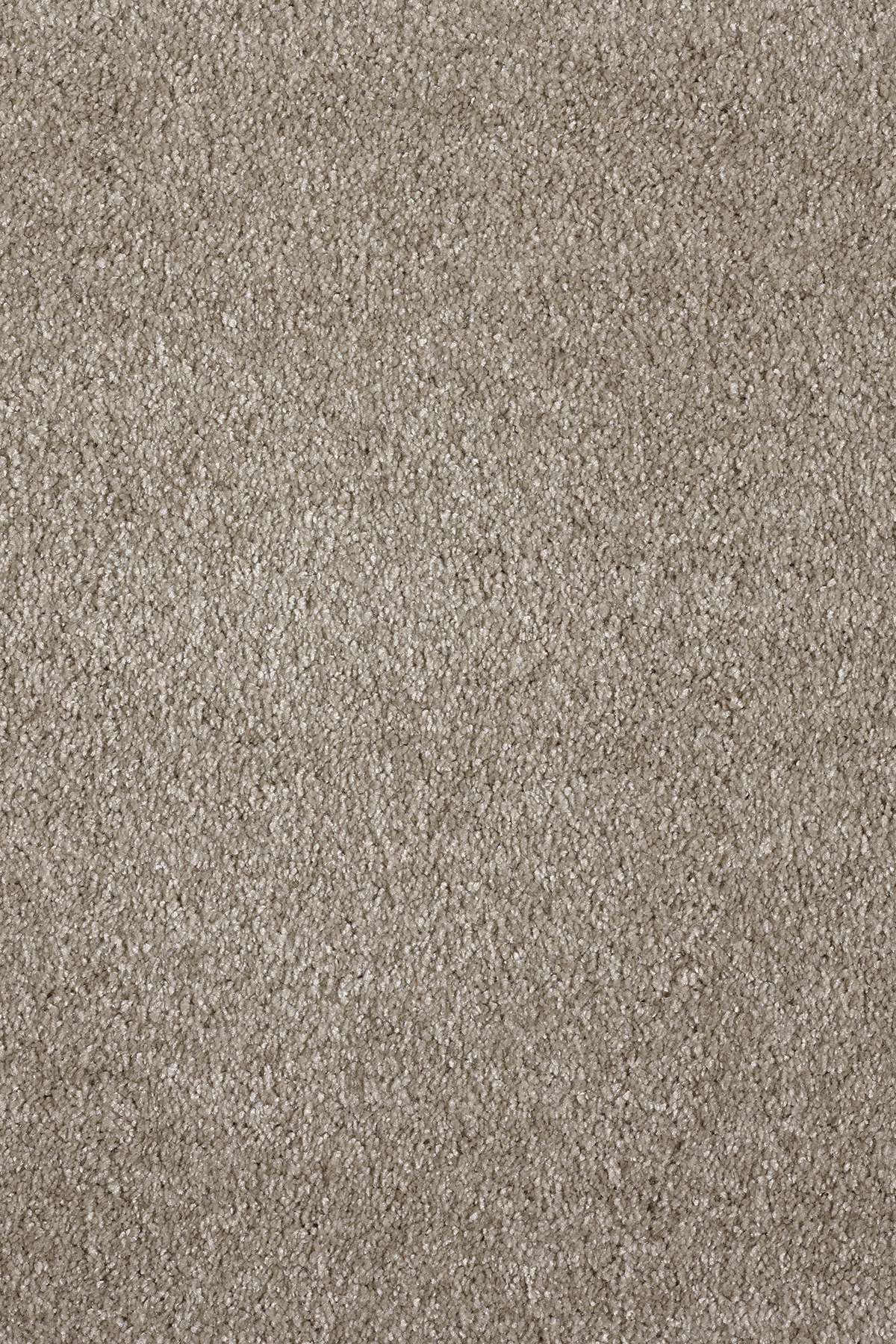 Ковровое покрытие "Bonkeel" Parana 34 (ширина 4м/5м) — купить в Туле