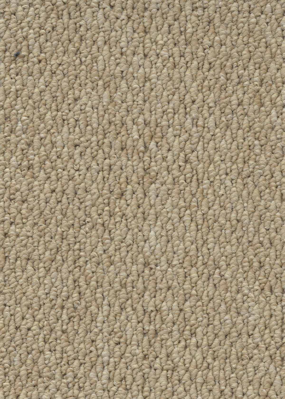 Ковровое покрытие "Bonkeel" Skye 50 (ширина 4м) — купить в Туле